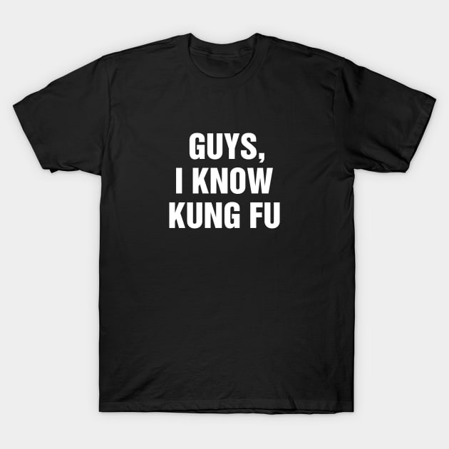 Guys I Know Kung Fu Chuck T-Shirt by rainoree